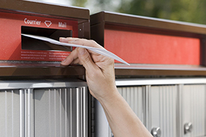 Buy Direct through Mail